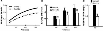 Fluoride Alters Klk4 Expression in Maturation Ameloblasts through Androgen and Progesterone Receptor Signaling